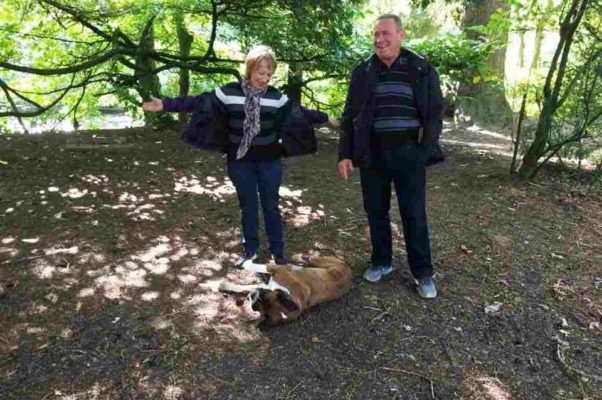 В городском парке на островах Несс